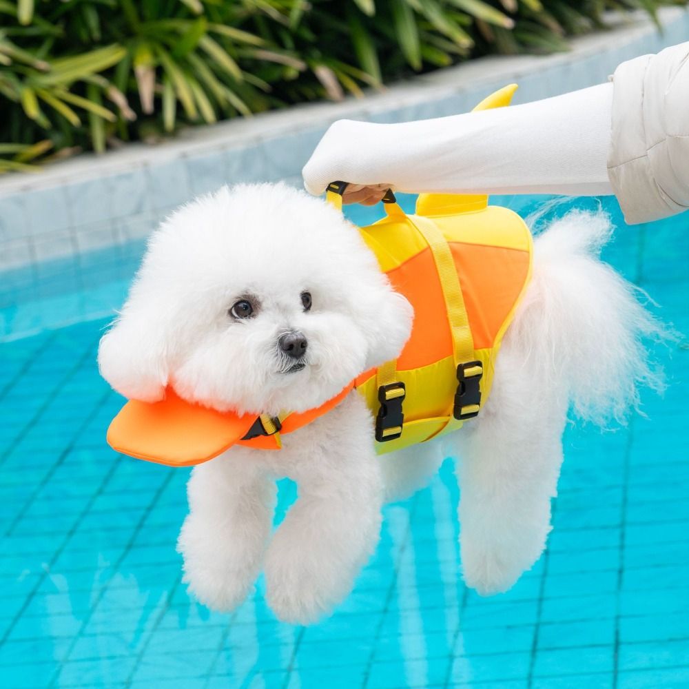 Shark Shape Dog Life Jacket Wa - Life Jacket recension och pris